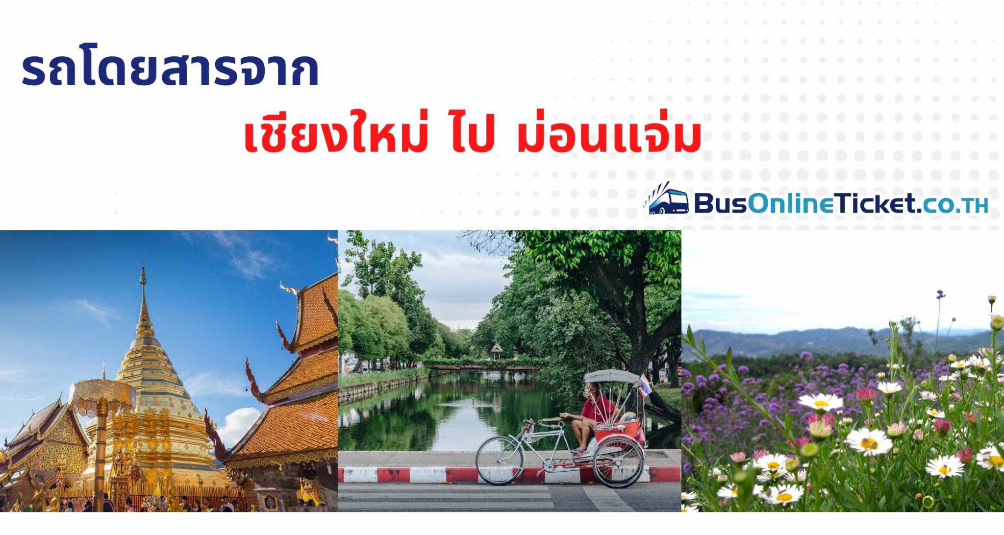 รถโดยสารจาก เชียงใหม่ ไป ม่อนแจ่ม | BusOnlineTicket Thailand